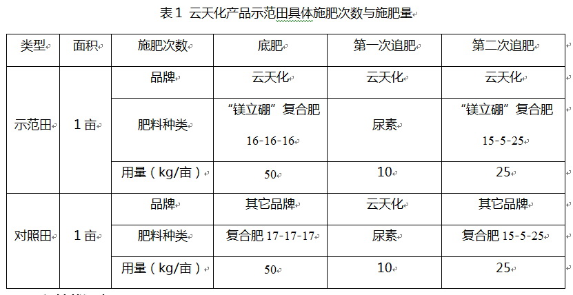 通过油麦菜长势,产量以及品质等对比云天化镁立硼复合肥与其它品牌